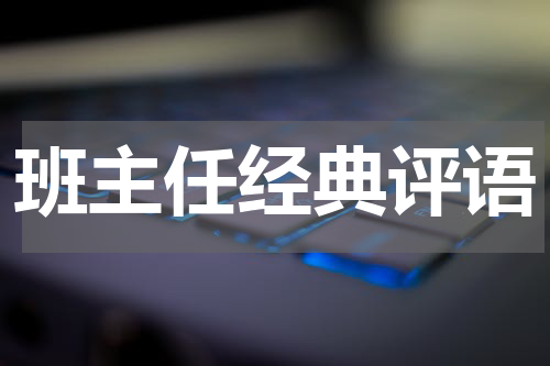 班主任经典评语