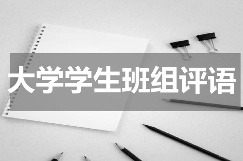 大学学生班组评语