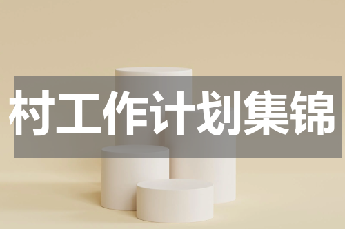村工作计划集锦