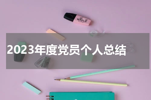 2023年度党员个人总结