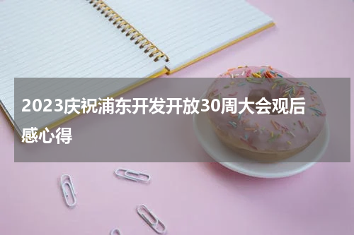 2023庆祝浦东开发开放30周大会观后感心得