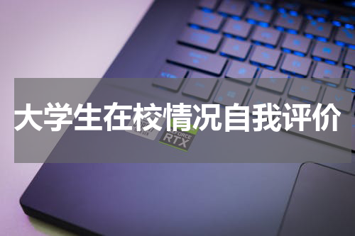 大学生在校情况自我评价
