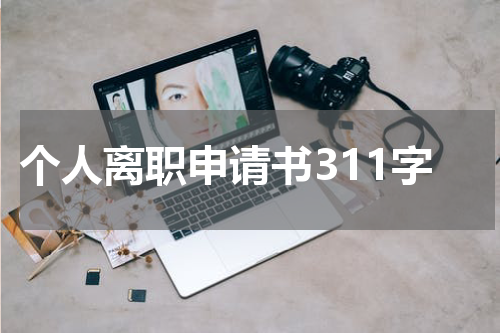 个人离职申请书311字
