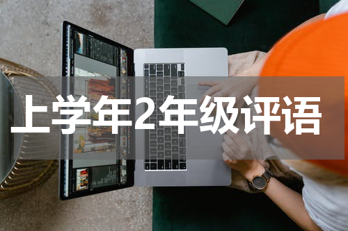 上学年2年级评语
