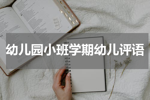 幼儿园小班学期幼儿评语
