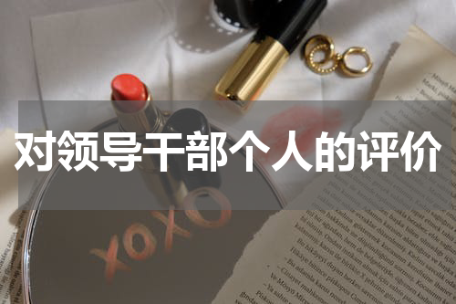 对领导干部个人的评价