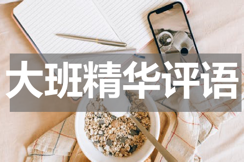 大班精华评语