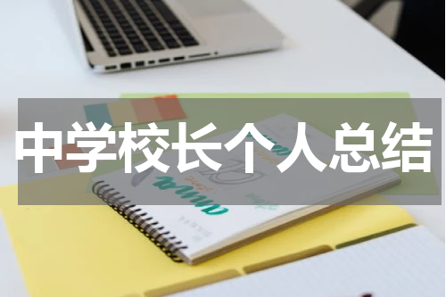 中学校长个人总结