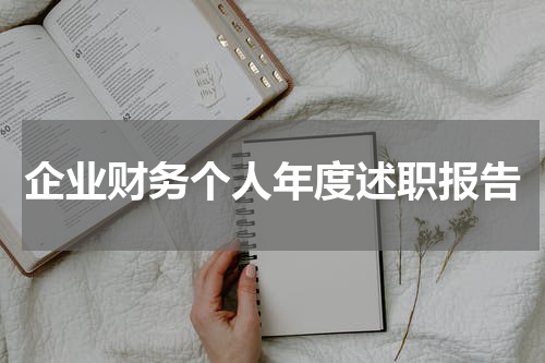 企业财务个人年度述职报告