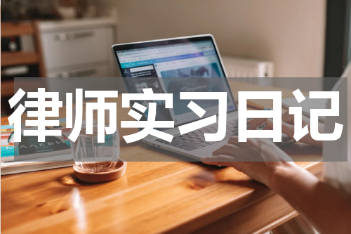 律师实习日记