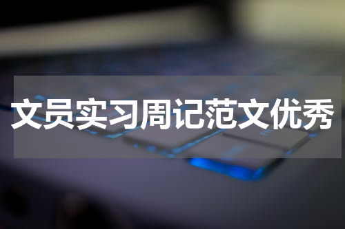 文员实习周记范文优秀