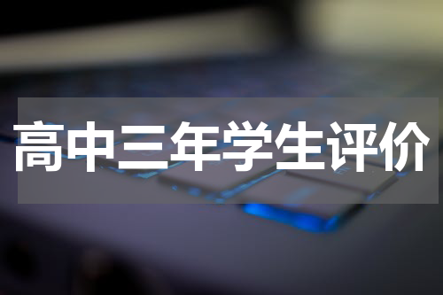 高中三年学生评价