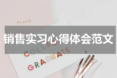 销售实习心得体会范文