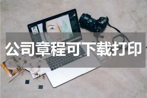 公司章程可下载打印