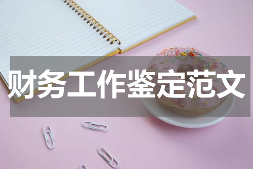 财务工作鉴定范文