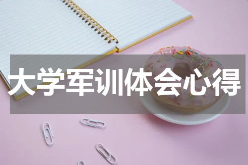 大学军训体会心得