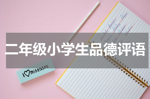 二年级小学生品德评语