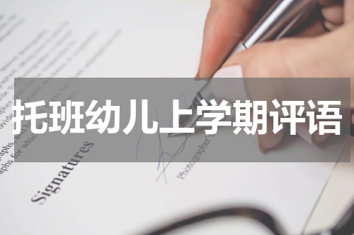 托班幼儿上学期评语