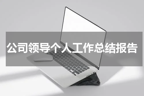 公司领导个人工作总结报告