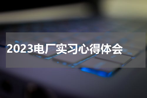 2023电厂实习心得体会