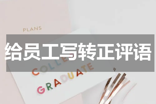 给员工写转正评语