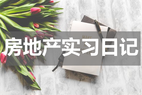 房地产实习日记
