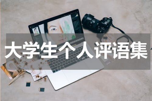 大学生个人评语集