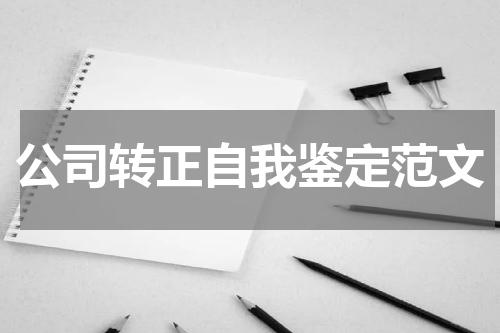 公司转正自我鉴定范文