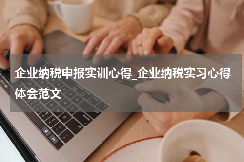 企业纳税申报实训心得_企业纳税实习心得体会范文