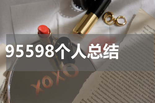 95598个人总结