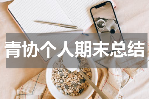 青协个人期末总结