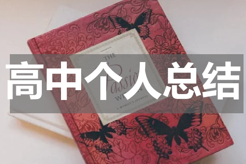 高中个人总结