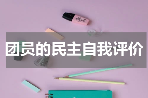 团员的民主自我评价