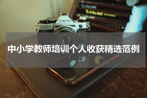 中小学教师培训个人收获精选范例