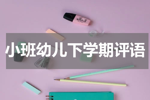 小班幼儿下学期评语