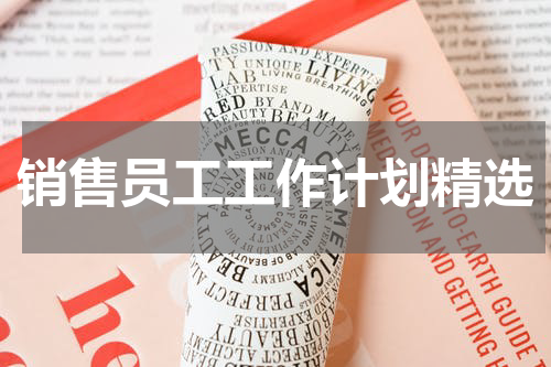 销售员工工作计划精选