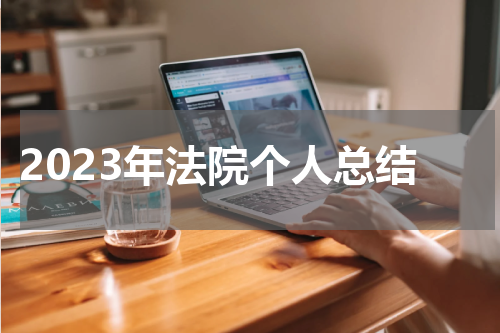 2023年法院个人总结