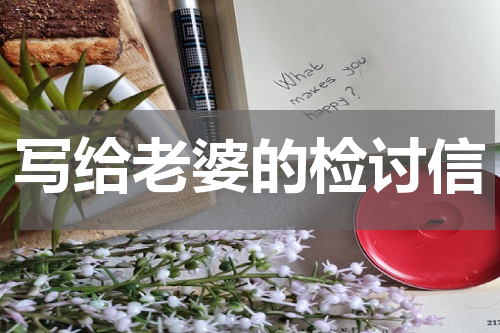 写给老婆的检讨信