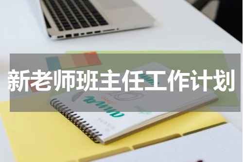 新老师班主任工作计划