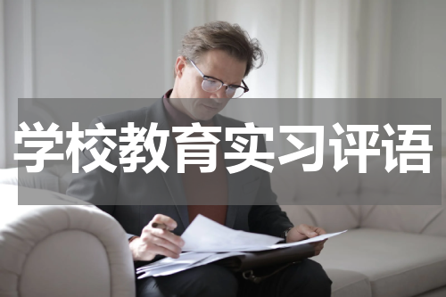 学校教育实习评语