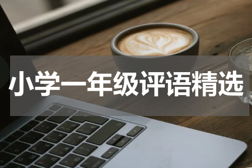 小学一年级评语精选