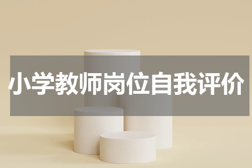 小学教师岗位自我评价