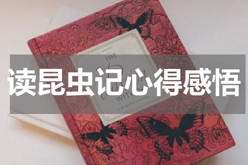 读昆虫记心得感悟