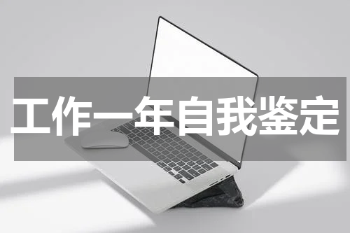 工作一年自我鉴定