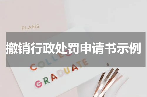 撤销行政处罚申请书示例