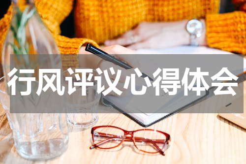 行风评议心得体会
