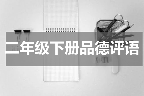 二年级下册品德评语