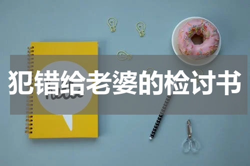 犯错给老婆的检讨书