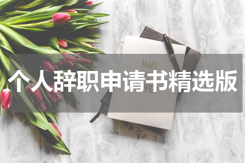 个人辞职申请书精选版