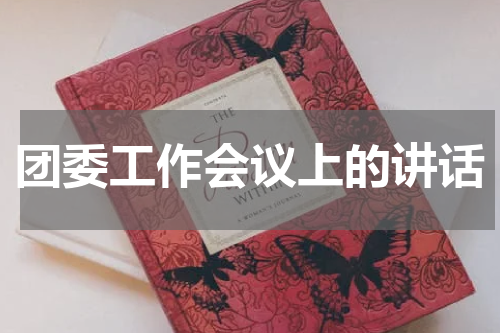 团委工作会议上的讲话